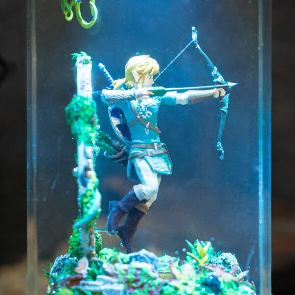 Link - Image 8