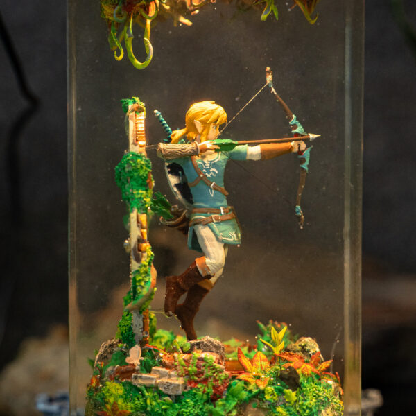 Link - Image 9