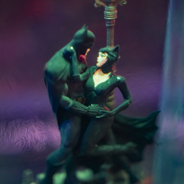 Batman and Catwoman - Image 5