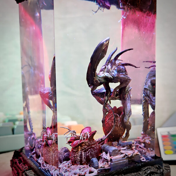 Alien (predator) - Image 5