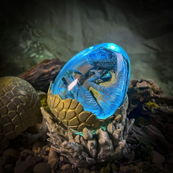 Raptor - Image 2
