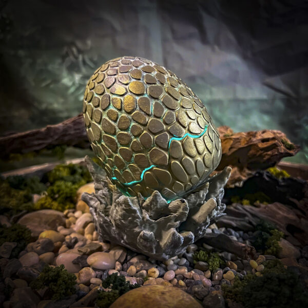 Raptor - Image 4