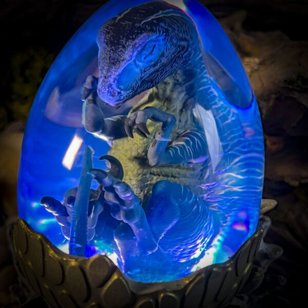 Raptor - Image 5