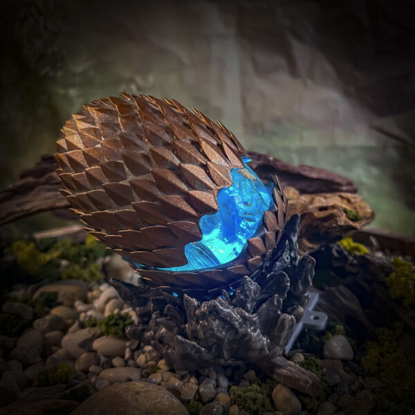 Fire dragon v1 - Image 2