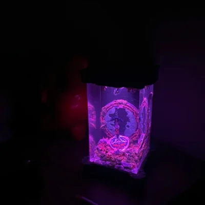 feedback4